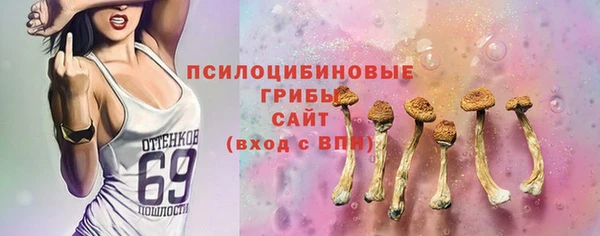 мдпв Лиски
