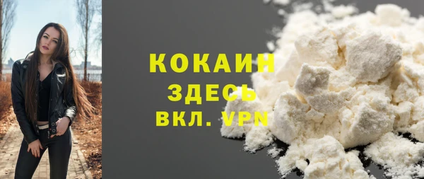 амф Липки