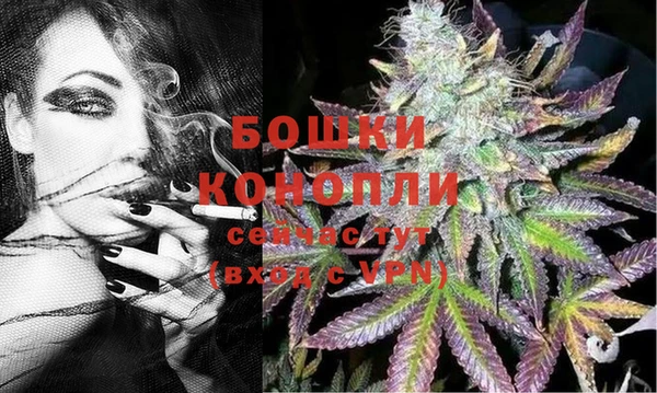 амф Липки