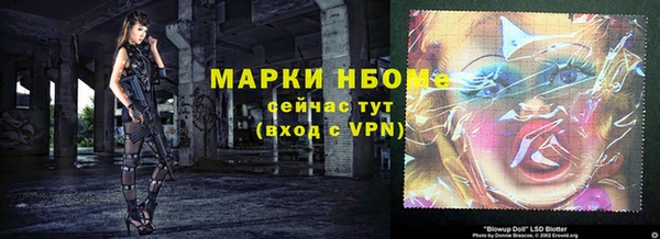 амф Липки