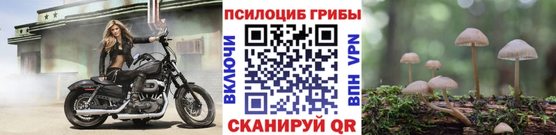 Псилоцибиновые грибы Psilocybine cubensis  мега ссылки  Лукоянов  где купить  